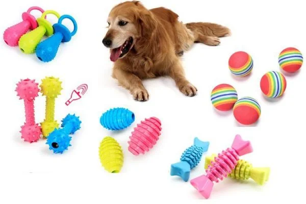 Những món đồ chơi cho thú cưng